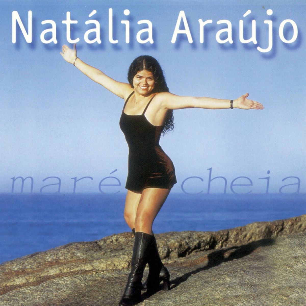Album cover of Forró Folia