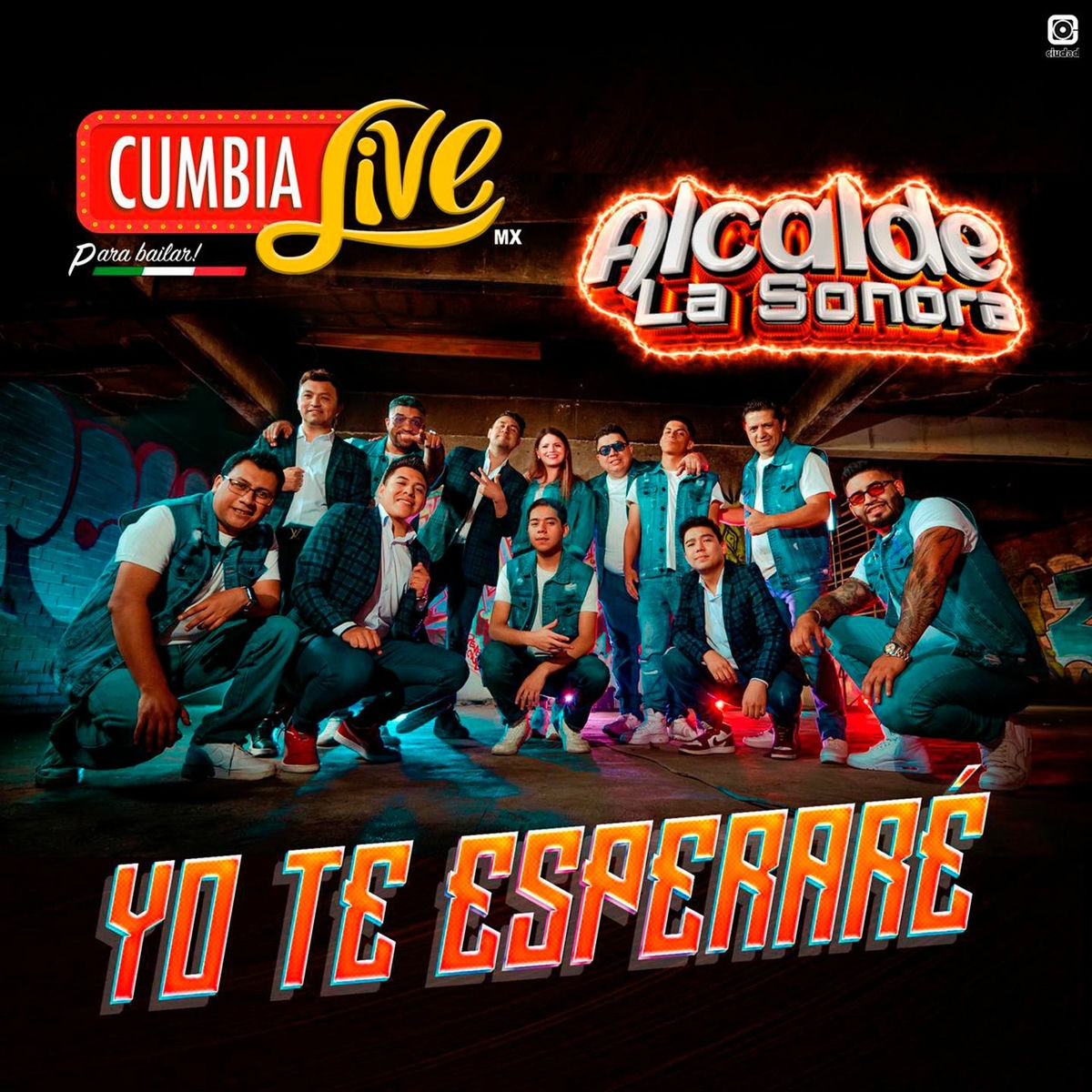 Album cover of Yo te esperaré