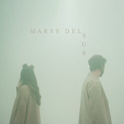 Cover of Mares Del Sur