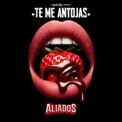 Cover of Te Me Antojas