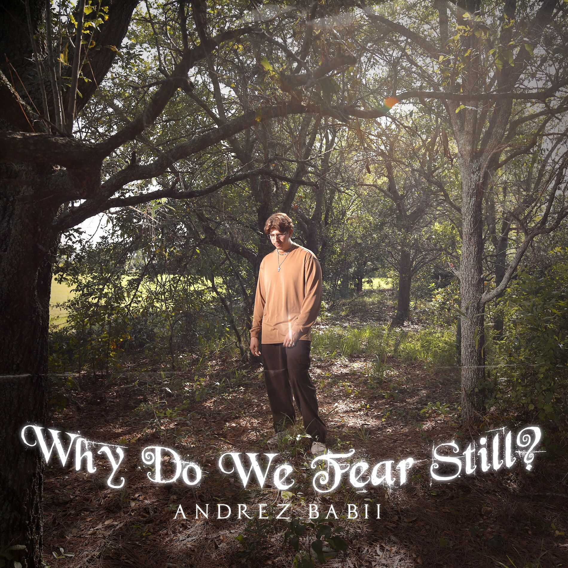 Album cover of Why Do We Fear Still?
