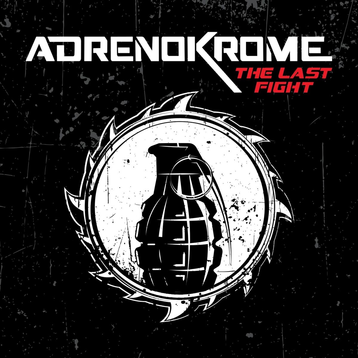 Album cover of The Last Fight