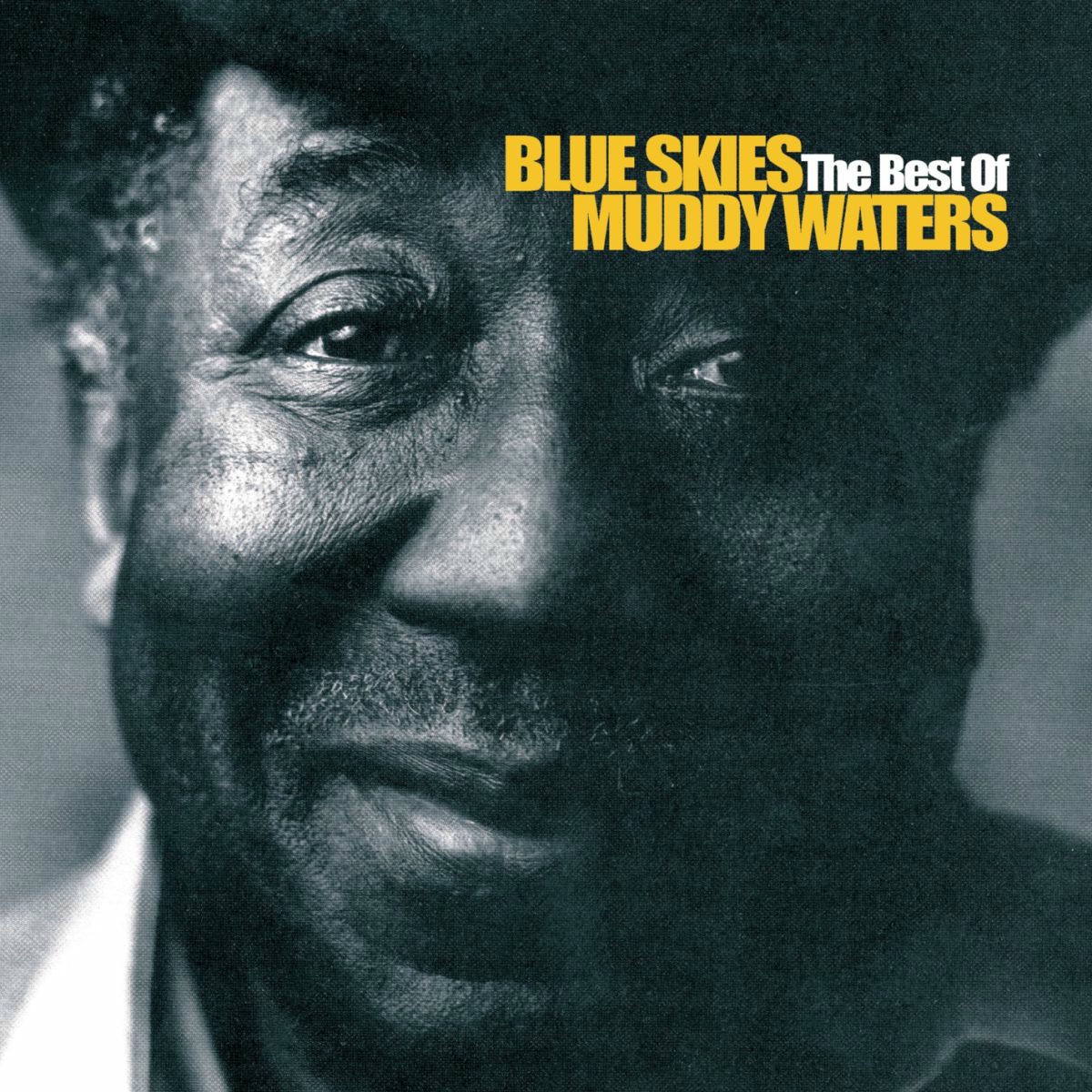Album cover of Blue Skies - The Best Of Muddy Waters