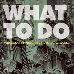 Cover of What To Do