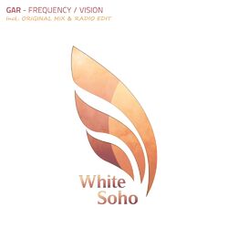 Cover of Frequency / VISION