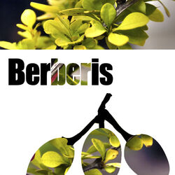 Cover of Excess EP
