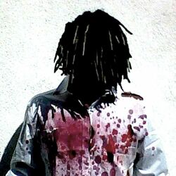 Cover of More Chaos