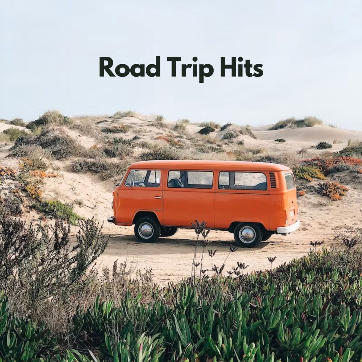 Album cover of Not Strong Enough