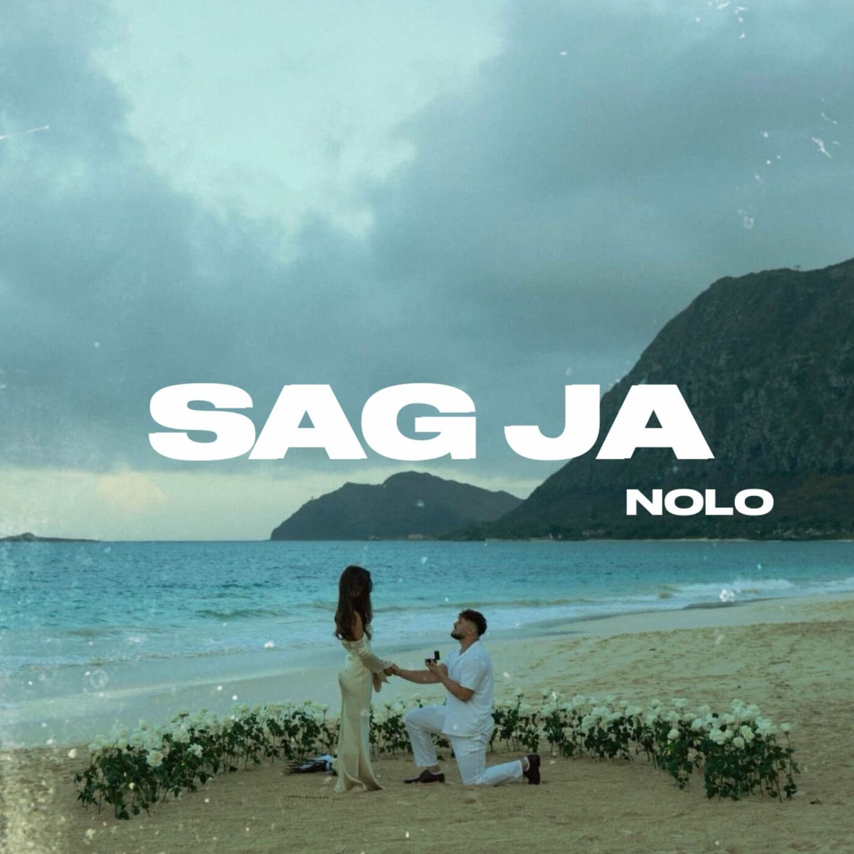 Album cover of sag ja