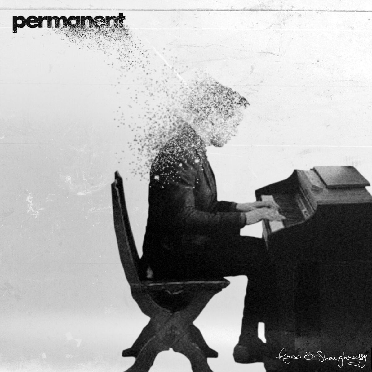 Album cover of Permanent