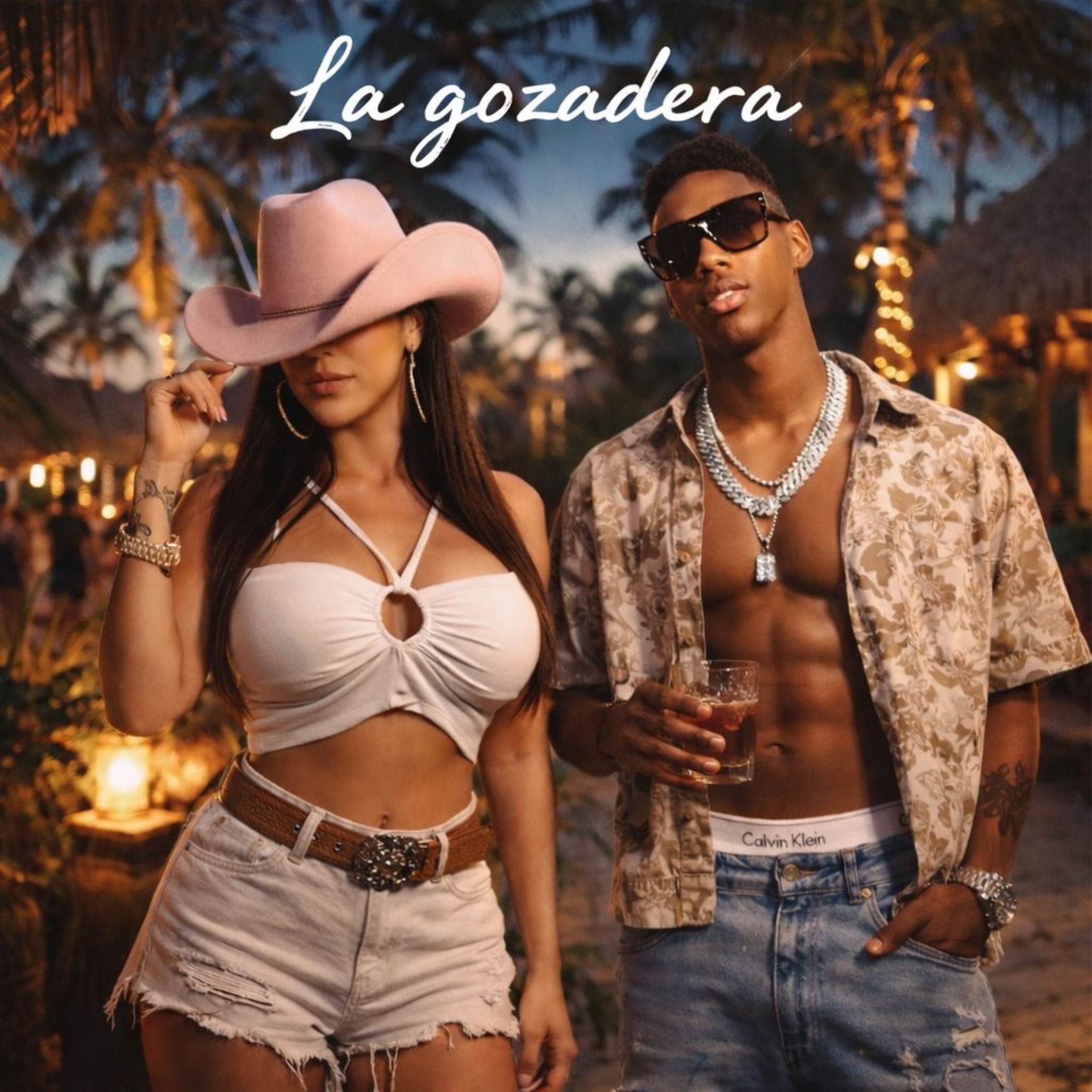 Album cover of La Gozadera