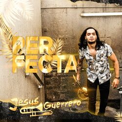 Cover of Perfecta