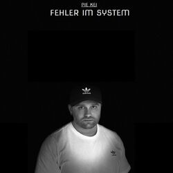 Cover of Fehler im System