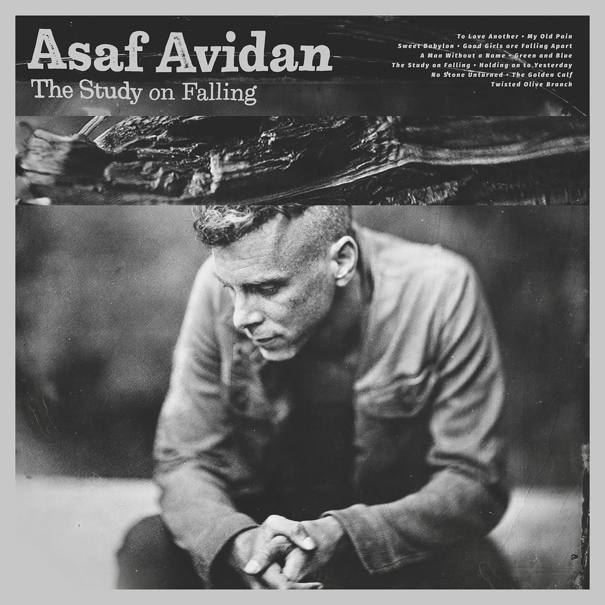 Album cover of The Study On Falling (Deluxe)