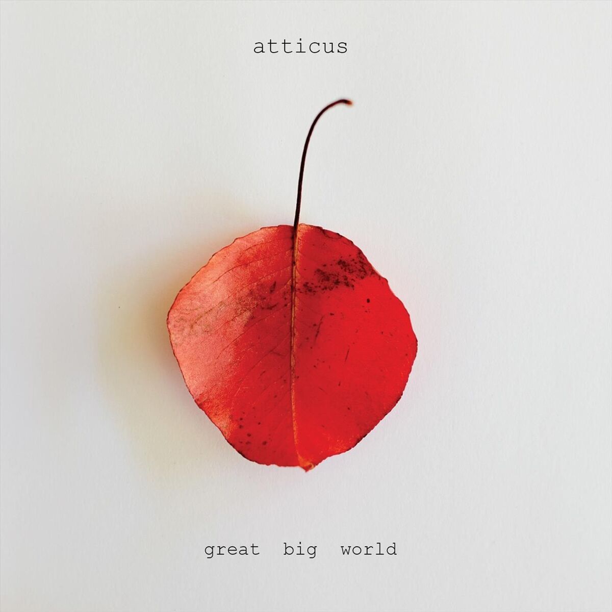Album cover of Great Big World