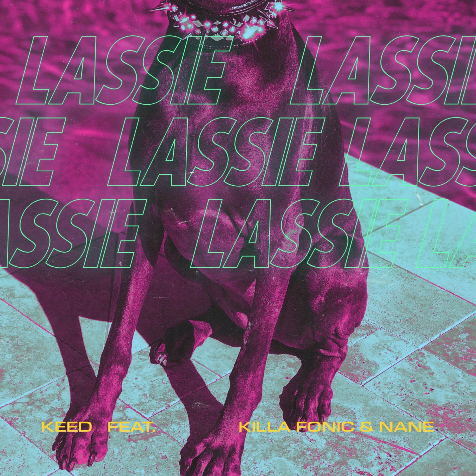 Album cover of Cateaua Ta (Lassie) [feat. Killa Fonic & Nane]