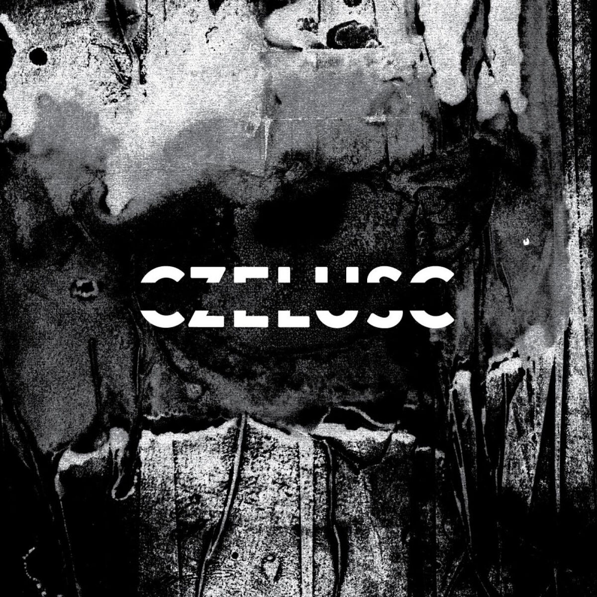 Album cover of W#5