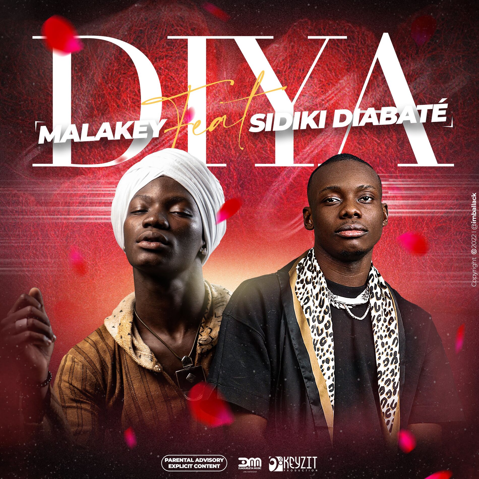 Album cover of Diya