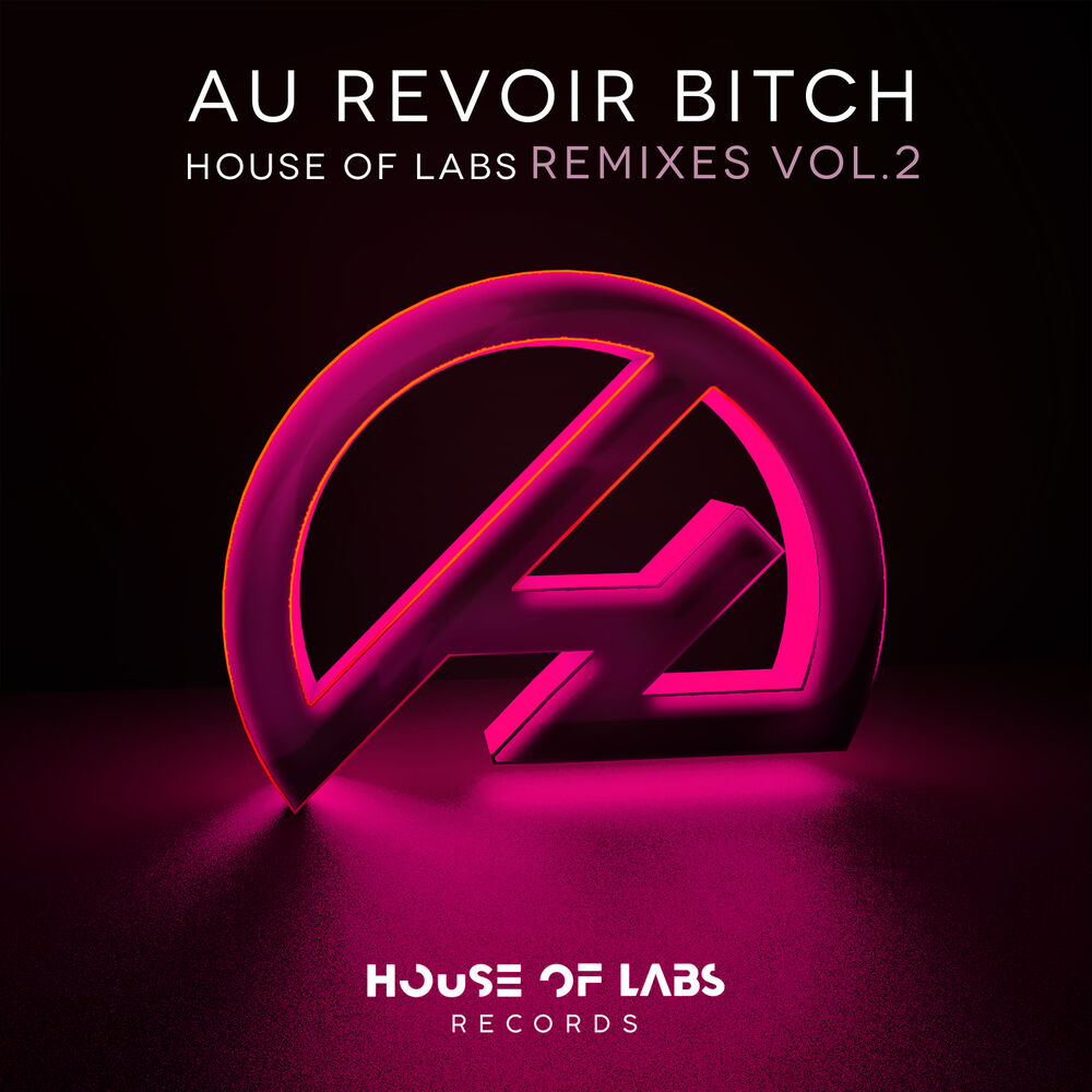 Picture of Au Revoir Bitch (Remixes Vol. 2)