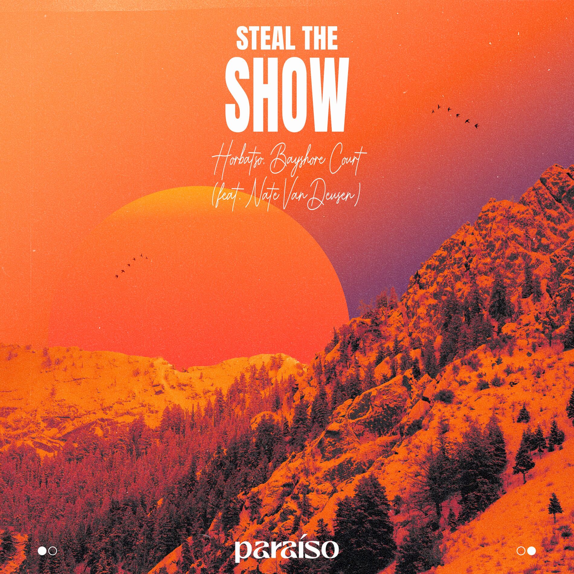 Album cover of Steal The Show (feat. Nate VanDeusen)