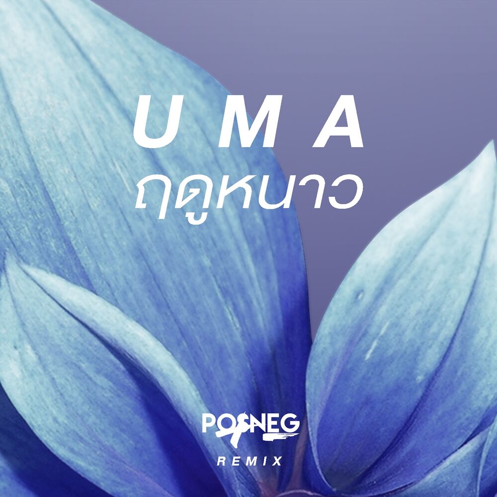 Picture of ฤดูหนาว (Posneg Remix)