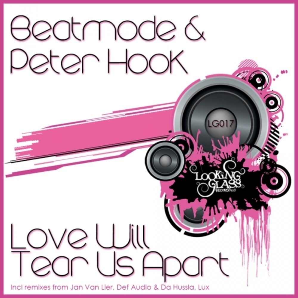 Picture of Love Will Tear Us Apart