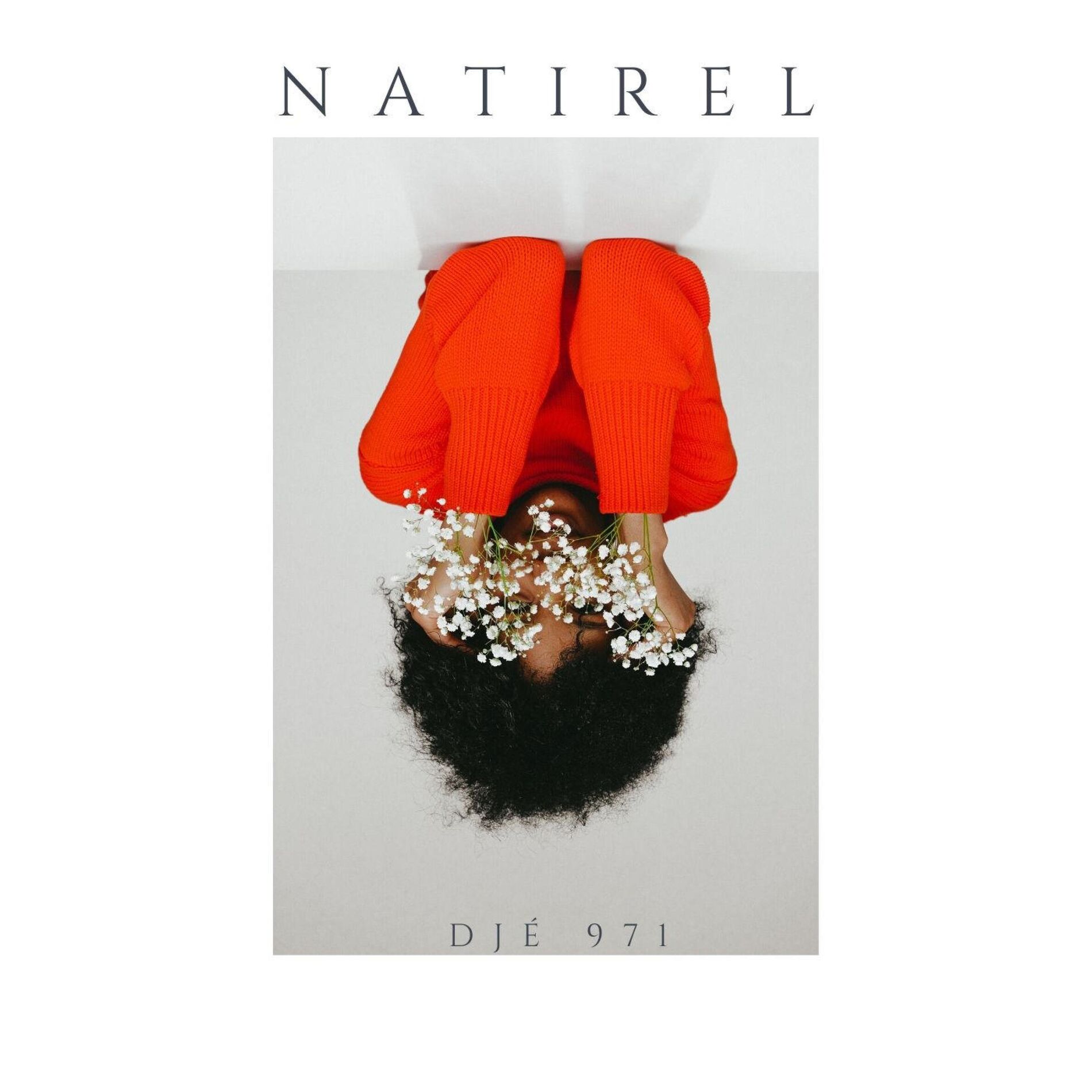 Album cover of Natirel