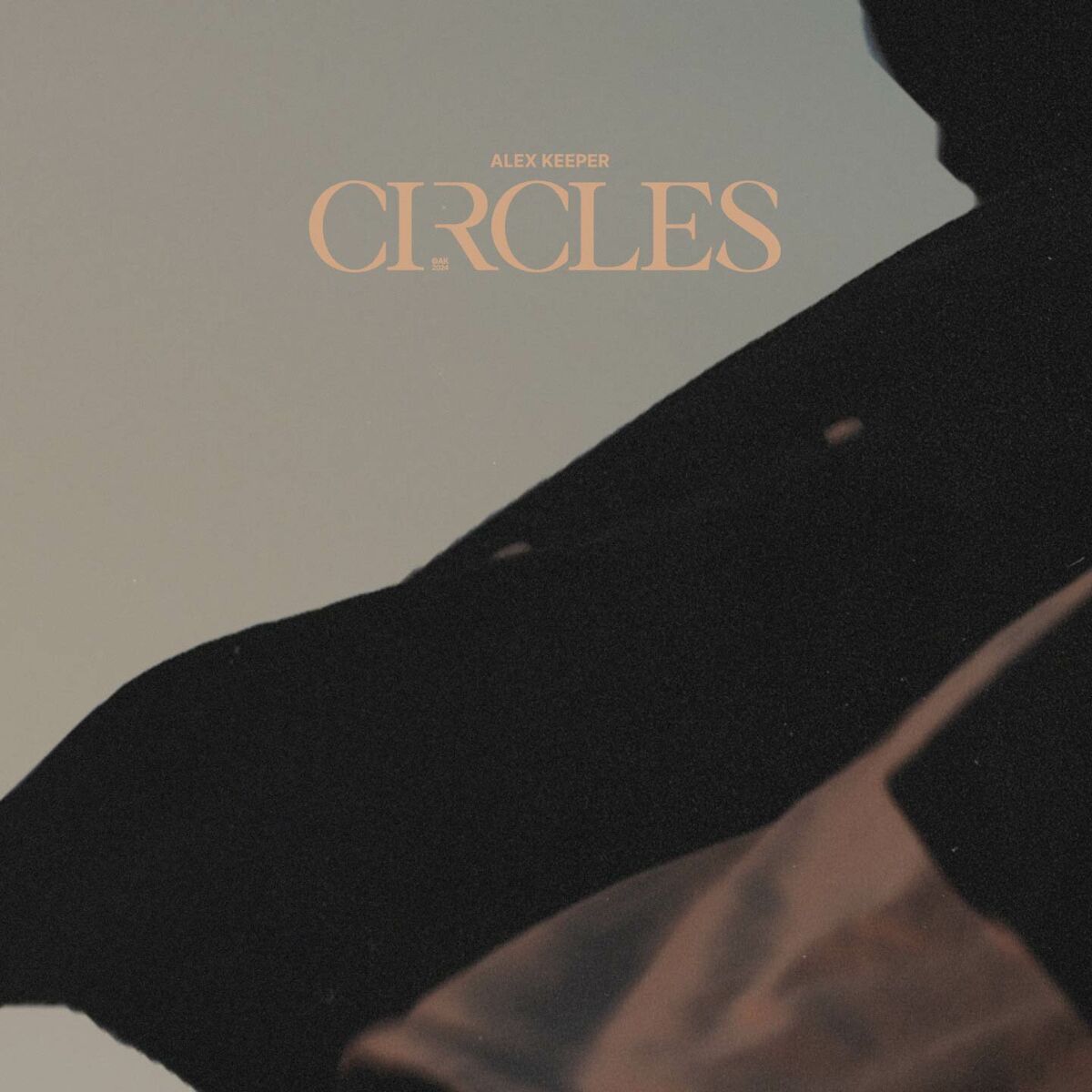 Album cover of Circles