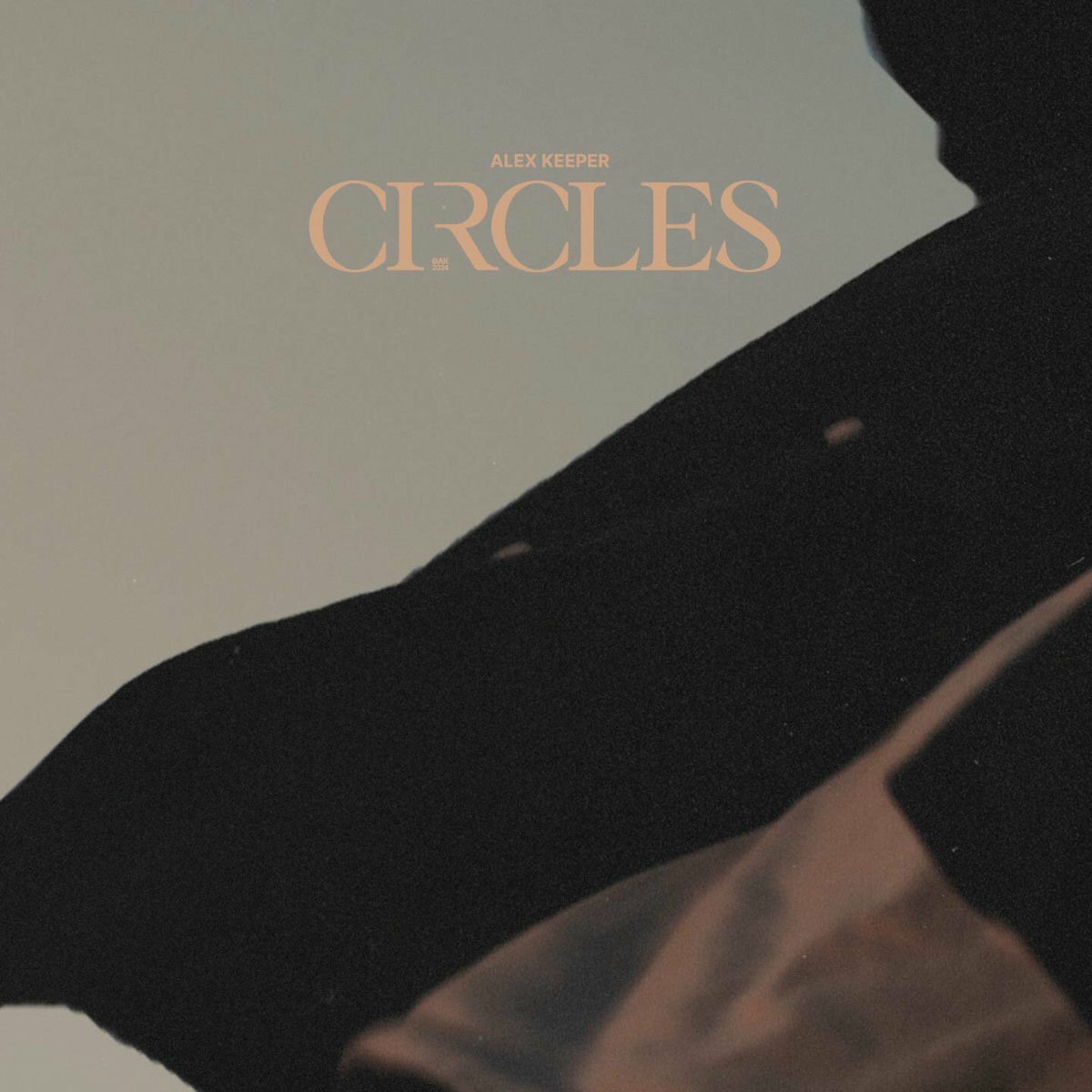 Album cover of Circles