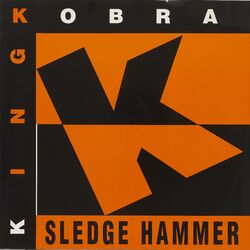 Cover of Sledge Hammer