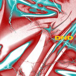 Cover of DND