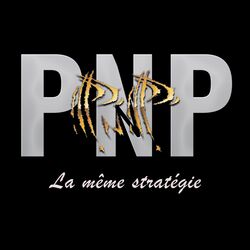 Cover of La même stratégie