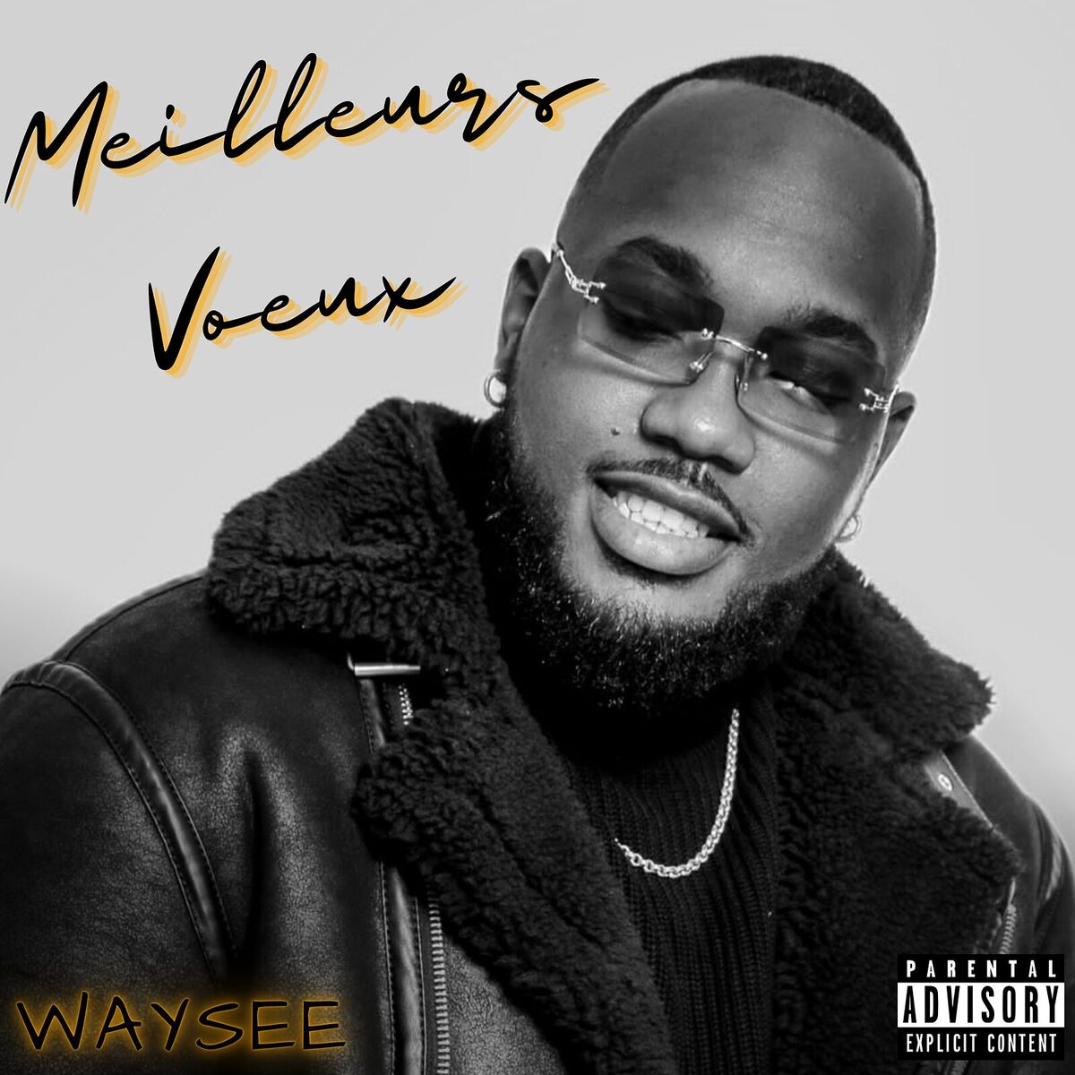 Album cover of Meilleurs Voeux