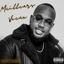 Cover of Meilleurs Voeux