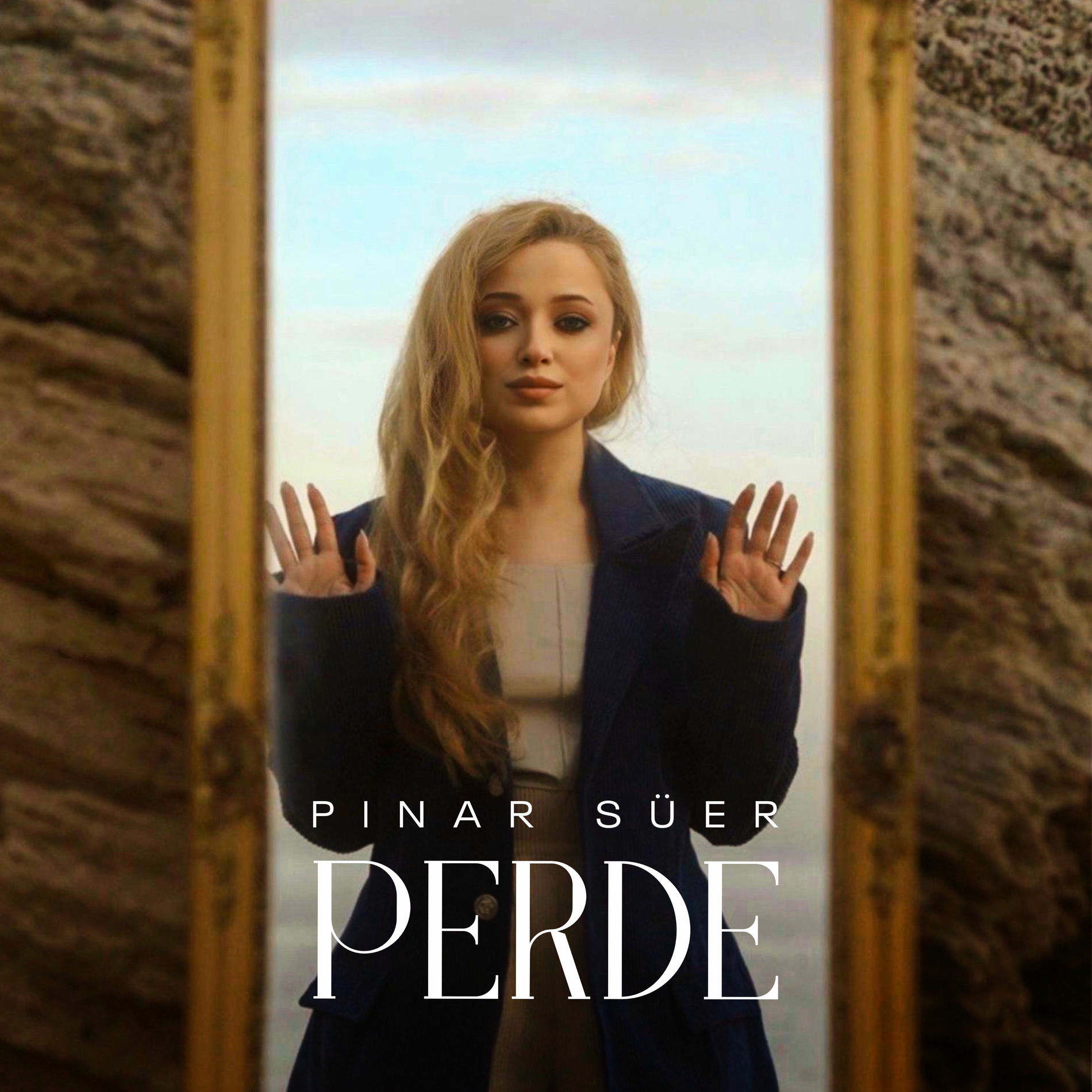 Album cover of Perde