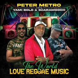 Cover of The World Love Reggae Music