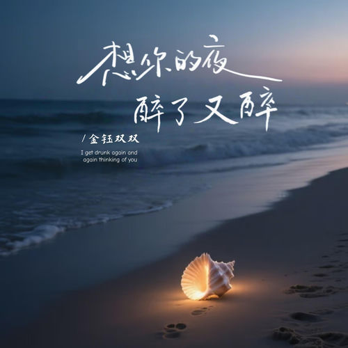 想你的夜醉了又醉