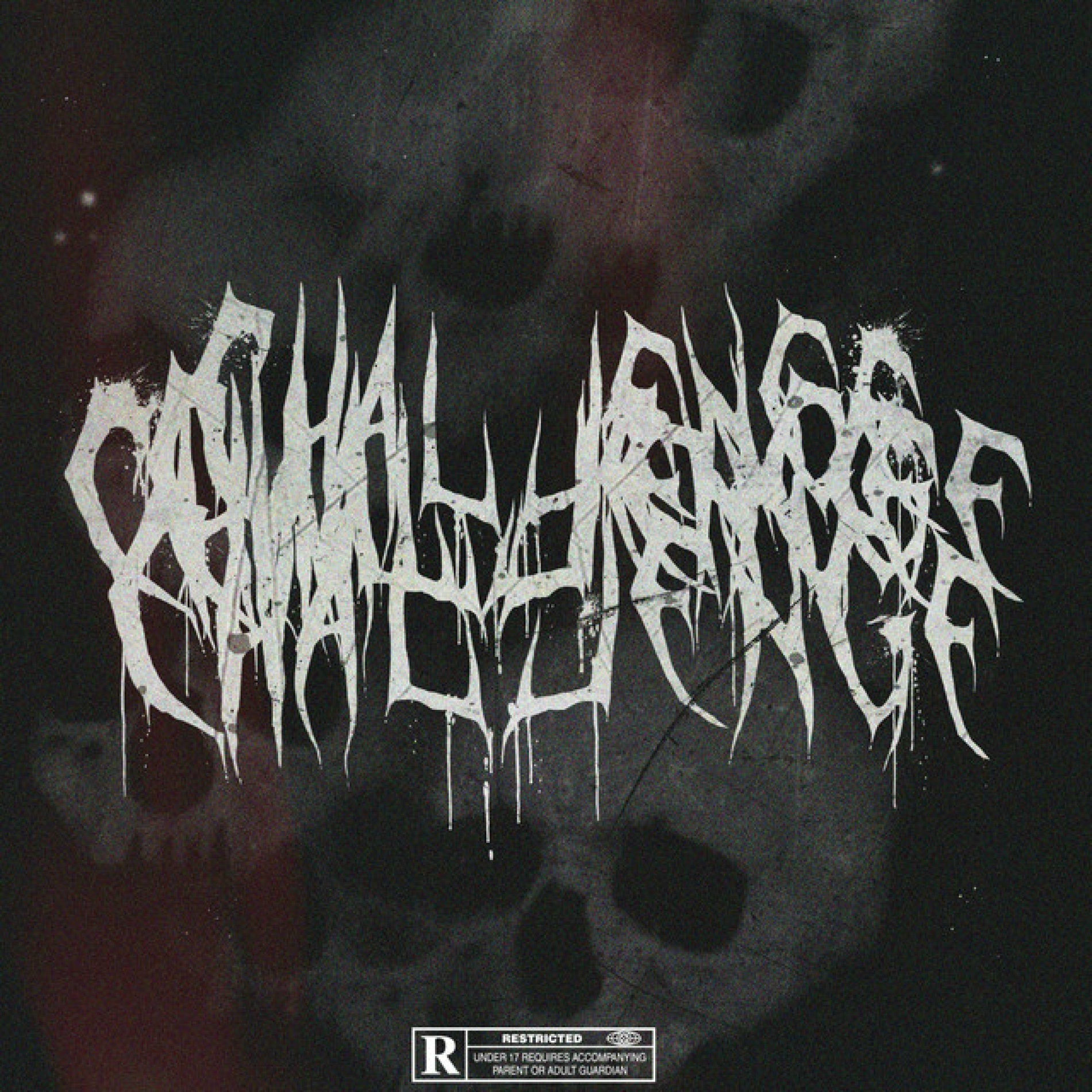 Album cover of Challenge