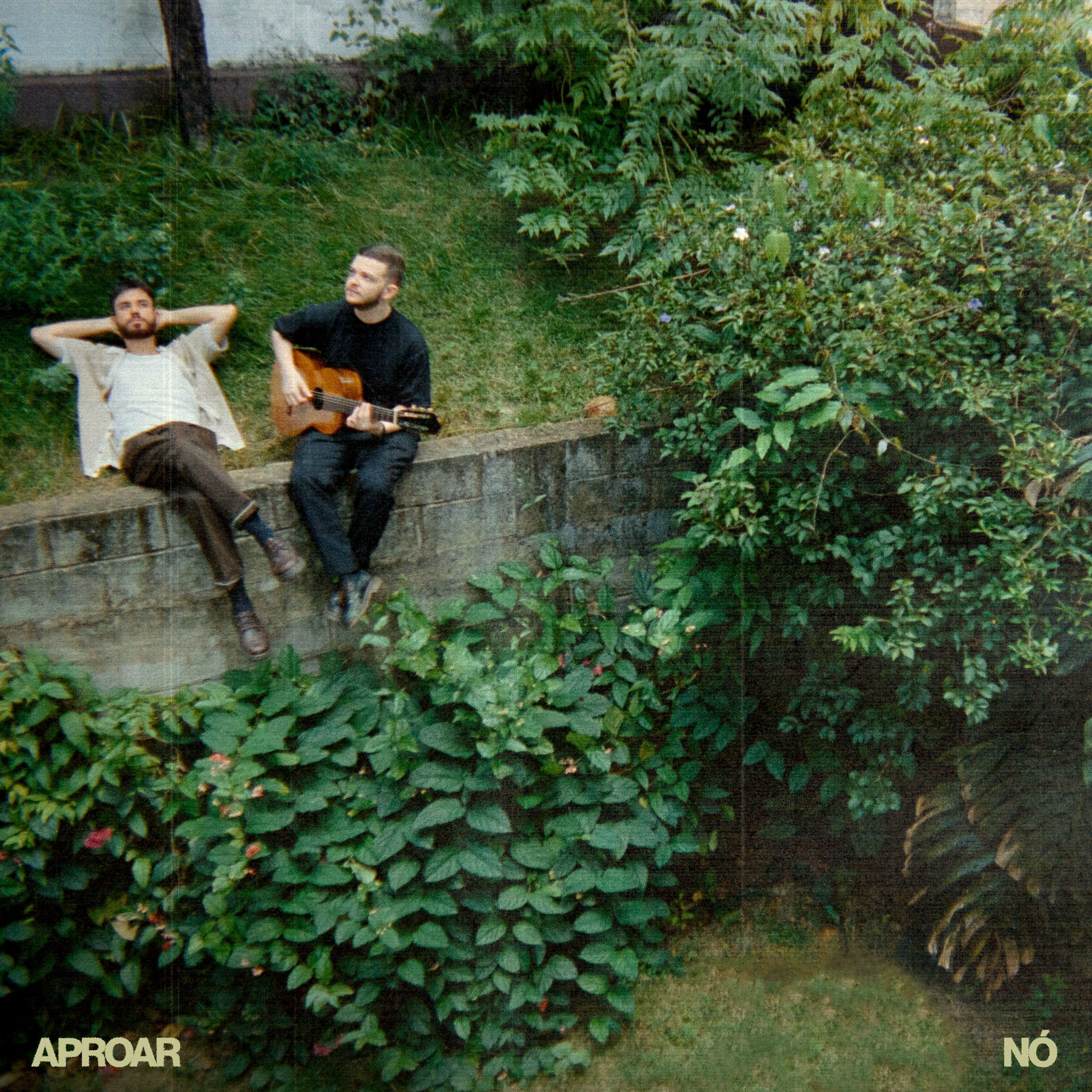 Album cover of Aproar