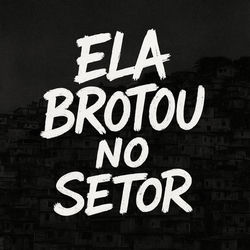 Ela Brotou no Setor