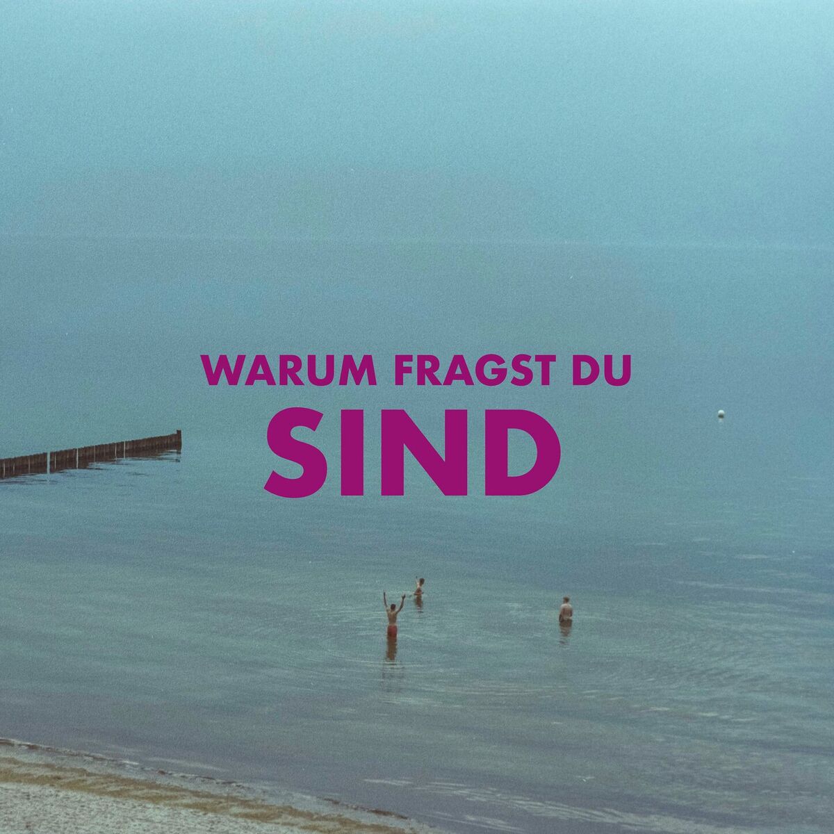 Album cover of Warum fragst Du