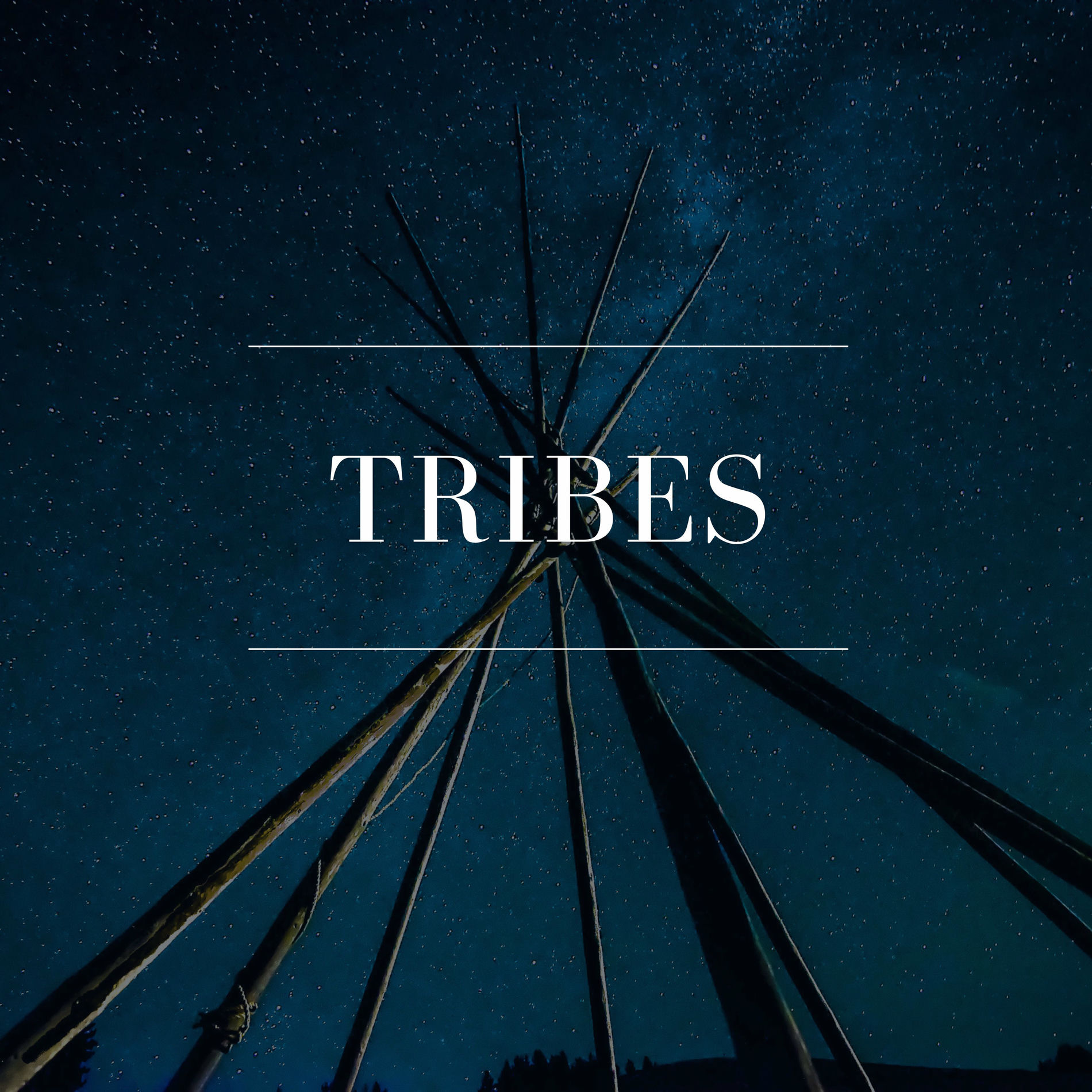 Album cover of Tribes