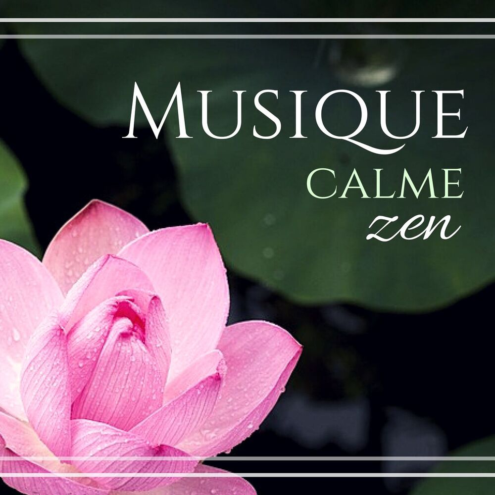 Picture of Musique calme zen - Musique d'ambiance très douce pour détente et relaxation