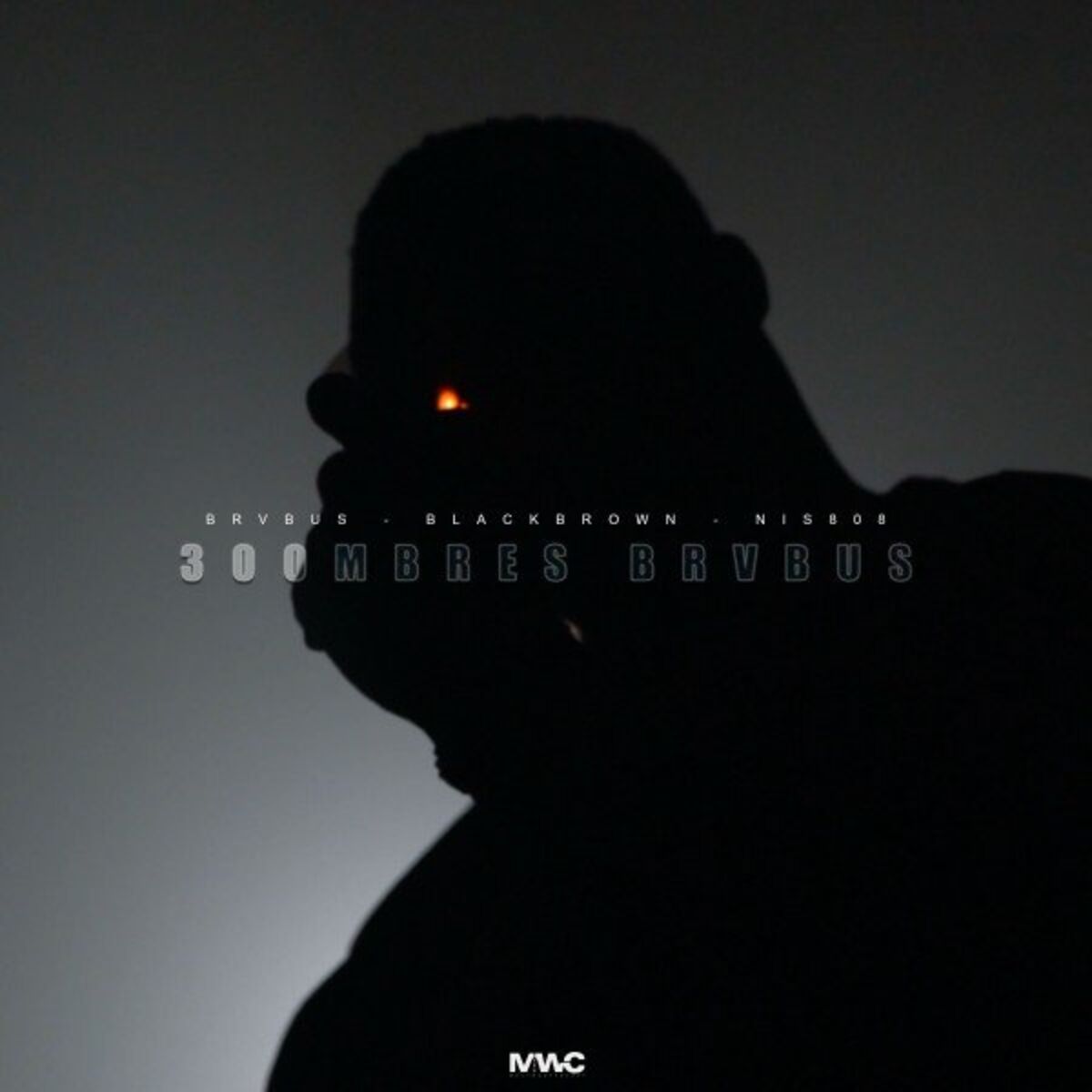 Album cover of 300Mbres Brvbus