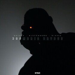 Cover of 300Mbres Brvbus