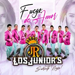 Cover of Fuego de amor
