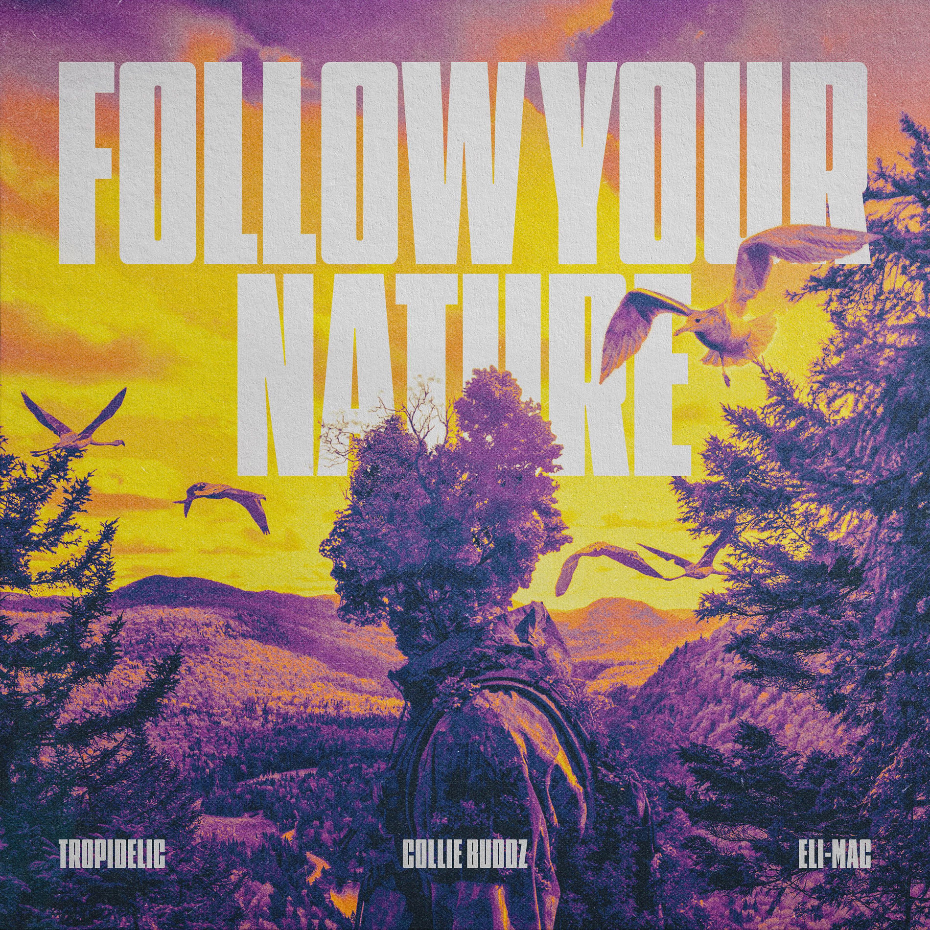 Album cover of Follow Your Nature