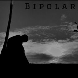 Cover of Bipolar