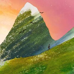 Cover of Every Step