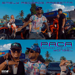 Cover Paca - Musicologo The Libro